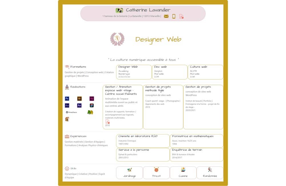 cv-en-ligne